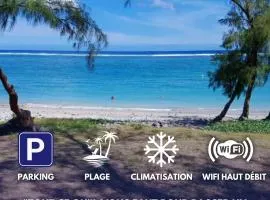 Le Rodrigues - parking - clim - wifi - plage
