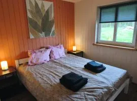 Family vacation, 2 bedroom house - Green House