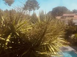 Forest Garden Retreat with Pool near the Beach