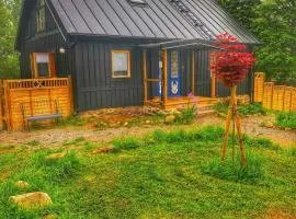 Schwarzes Haus - Deignhaus mit Terrasse & Kamin