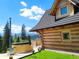 Niedźwiedzia Chatka, hotel v destinaci Rzepiska