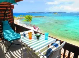 2BR Luxury Beachfront Duplex Villa on Sapphire Beach III