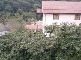Qax Ağçayda EVLƏR