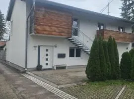 Gemütliche Wohnung in St Georgen nähe Attersee