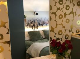 Santa Village northern lights box、ロヴァニエミのキャンプ場