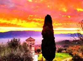 Dimora del falco