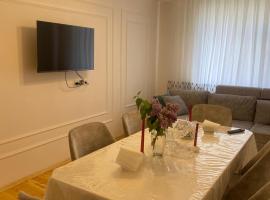 Ağ Ev Guest House, hotel in Lankaran