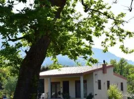 Villa Asteria