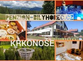 Pension Bílý Hořec