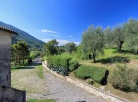 Il Gallo d' Oro - Oca