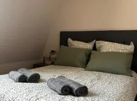 Appartement au coeur de Saumur - Chambre climatisée