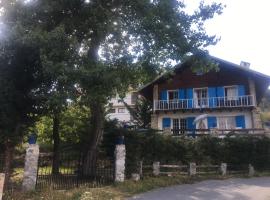 Auron Chalet Casanova centre et pistes à pied, hotel in Auron