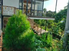 Homestay hichi bảo Lộc