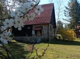 Brvnara Rustik