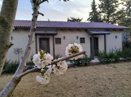 דצ'א - Дача - Dacha, homestay in El-Rom
