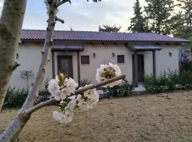 דצ'א - Дача - Dacha