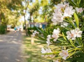 Camping 4 étoiles - Piscine - ccaaeag
