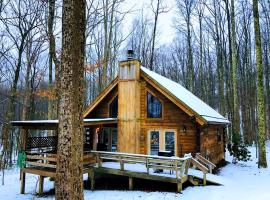 Secluded Cabin Rental near Watoga State Park in West Virginia, hotel v destinaci Hico