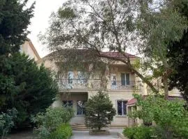 Villa in Badamdar