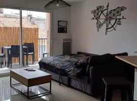 Appartement T2 CANNES LA BOCCA