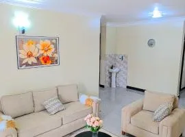 Serene view homes
