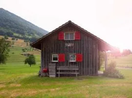 Unique Tiny house between Mnt Rigi and Lake Lucerne