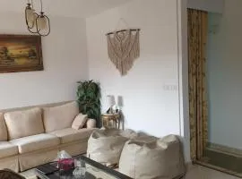 Cozy Modern apart for Families