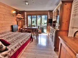 Charmant Studio Montagne Rénové, 4 Pers, Balcon Sud, Proche Centre - FR-1-458-106