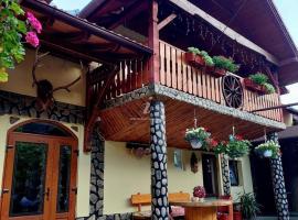 Pensiunea Călin, hotel v destinaci Gura Rîului