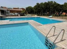 T2 Saint Cyprien proche de la mer