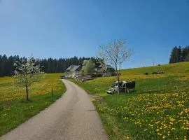 Lorenzenhäusle Titisee-Neustadt