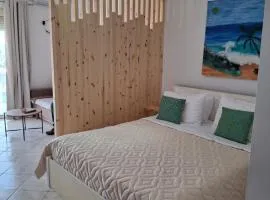 Cozy apartment in city center