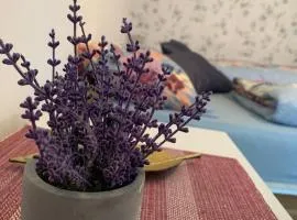 Apartman Duman Suza