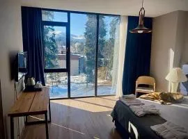 Flat in Bakuriani forest