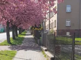 Apartmán Kumburská - Nová Paka