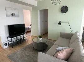 Convenient Apartment for 3