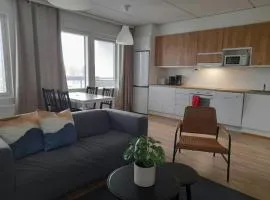 Convenient Apartment for 3