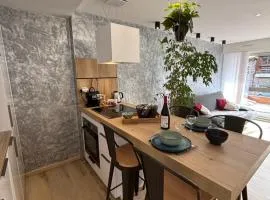 T2 lumineux l' Edelweiss pied du Prorel avec garage privé