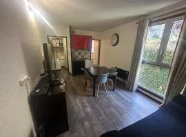 Agréable appartement pour découvrir les Pyrénées