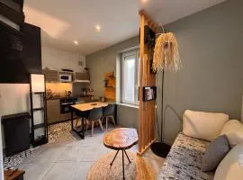 Superbe duplex climatisé avec jardin classé 3 étoiles 2 à 4 pers