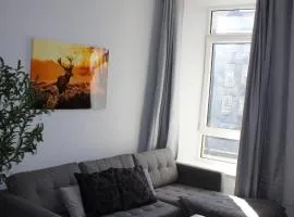 Trendy Apartment in Tralee