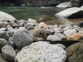 Sonidos del Río