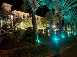 Villa Douro Hotel