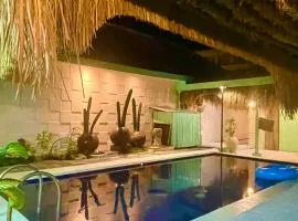 LAVENDER STAR HOUSE h