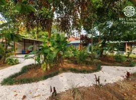 Rio Celeste Dreams
