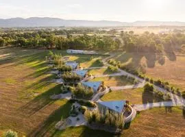 Olive Studio at Kavillo