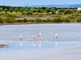 Villetta FlamingoBeach Morghella