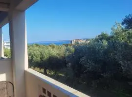 Poseidon Garden