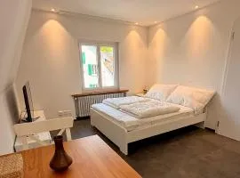 Max Apartments