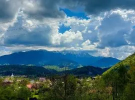 Inspire View - Boutique